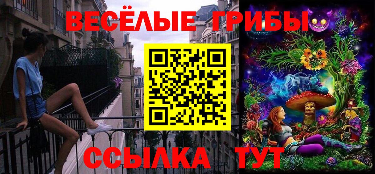 Галлюциногенные грибы GOLDEN TEACHER Подольск